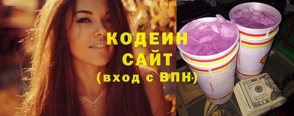 молекула духа Елабуга