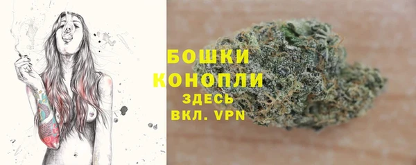 молекула духа Елабуга