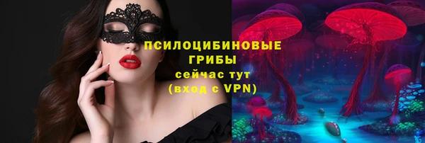тгк Дмитров