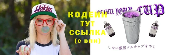 молекула духа Елабуга