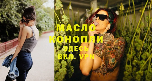 молекула духа Елабуга