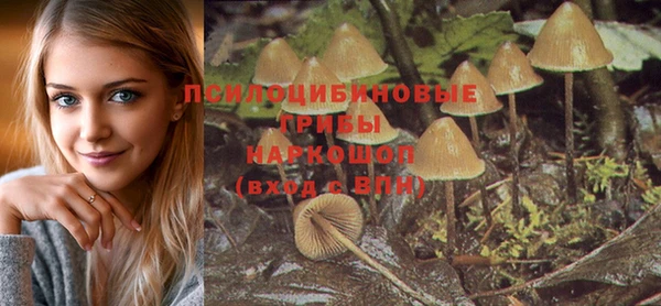 сатива Елизово