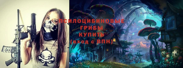 сатива Елизово