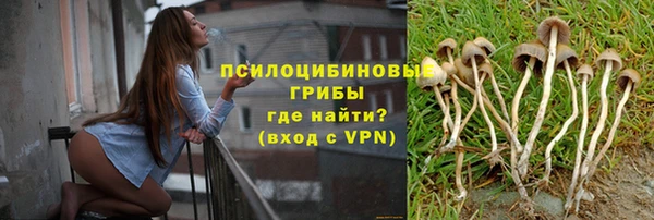 гашишное масло Дмитровск