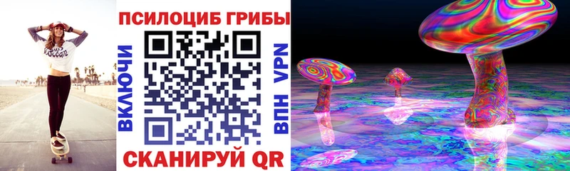 Галлюциногенные грибы Psilocybe  Купить закладки  Ишим 